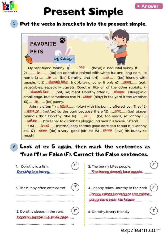 Present Simple Worksheet – Fill in the Verbs in a Dialogue About Johnny and His Bunny | True or False Activity